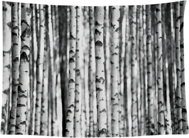 Ulticool Bomen Bos Aesthetic Natuur Zwart Wit - Wandkleed Poster - 200x150 cm - Groot wandtapijt - Tuinposter Wandtapijt Buitenkleed Decoratie Schilderijen Posters voor zowel buiten als Muurdecoratie in woonkamer