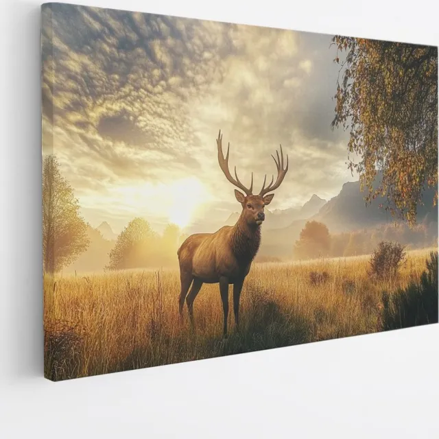 Saammp Canvas Schilderij - Hert in mooie omgeving - Natuur - Dieren - 50x40 - Foto op canvas - Wanddecoratie - Muurdecoratie Woonkamer - Slaapkamer decoratie - Canvas Print Multicolor