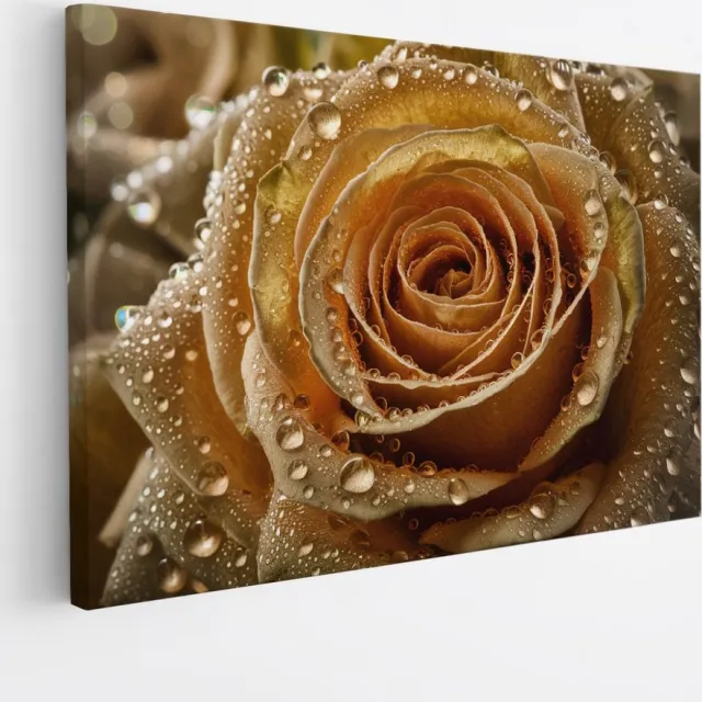 Saammp Canvas Schilderij - Gedetailleerde Roos - Goudkleurige - Abstract - 50x40 - Foto op canvas - Wanddecoratie - Muurdecoratie Woonkamer - Kantoor Decoratie Multicolor