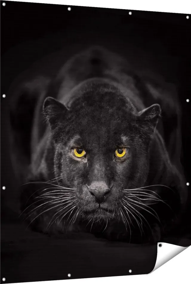Gards Tuinposter Zwarte Panter met Oranje Ogen - 120x150 cm - Tuindoek - Tuindecoratie - Wanddecoratie buiten - Tuinschilderij Multikleur