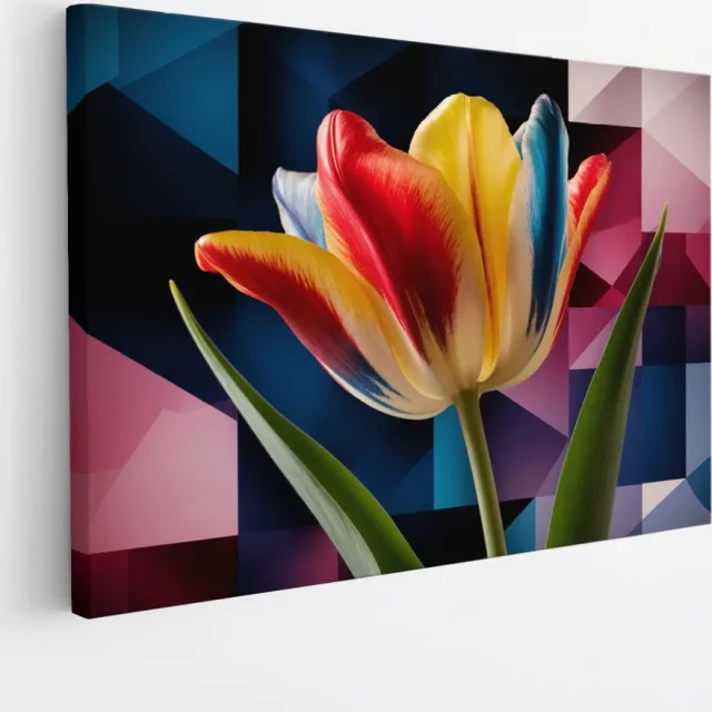 Saammp Canvas Schilderij - Gekleurde Tulp - Natuur - Abstract - 45x30 - Foto op canvas - Wanddecoratie - Muurdecoratie Woonkamer - Kantoor Decoratie Multicolor
