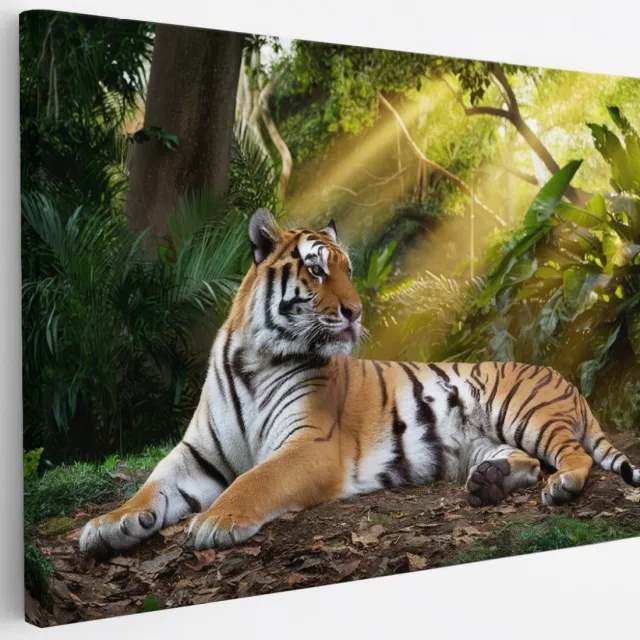 Saammp Canvas Schilderij - Tijger in de zon - Natuur - Dieren - 30x20 - Foto op canvas - Wanddecoratie - muurdecoratie Woonkamer - Slaapkamer decoratie - Canvas Print Multicolor