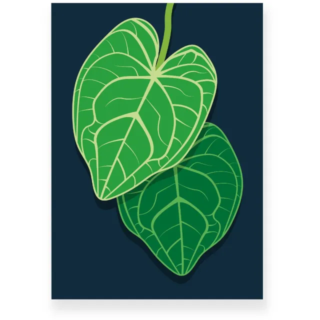 Yisual Poster 50x70 cm - Anthurium Bladeren - Planten - Groen - Donkerblauw - Botanisch - Minimalistisch - Muurdecoratie - Wanddecoratie