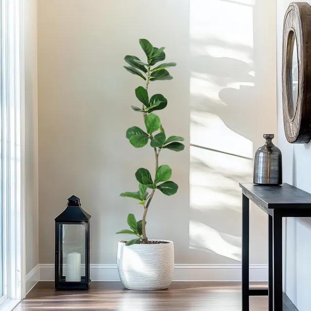Triumpunpre 150cm Kunst vijgenbladboom met zwarte kweekpot - kunstplant met natuurlijke houten stam - S-vormige kunstficus voor decoratie woonkamer kantoor thuis