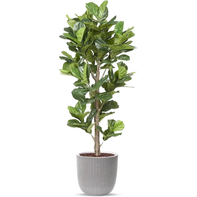 HTT Decorations Kunstplant Ficus Lyrata in planter ball Groove ivoor H210 cm