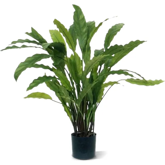 maxifleur Kunstplanten Calathea kunstplant 60cm - groen