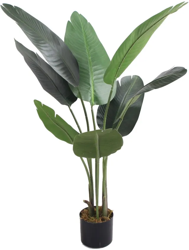 Decovego Kunstmatige Bananenboom, Gedetailleerde Kunstplant 115 cm, Kunstmatige Bananenplant voor Thuis & Kantoor, Onderhoudsvriendelijk & Allergievriendelijk Groen