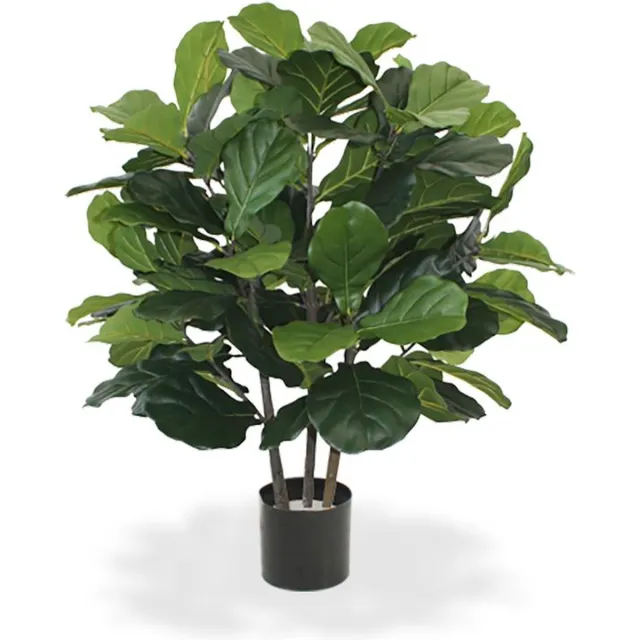 Maxifleur Lyrata Deluxe 95cm Groen