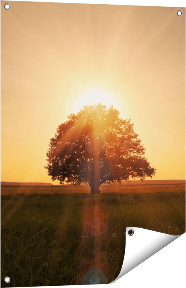 Gards Tuinposter Zonsondergang Achter een Grote Boom - 60x80 cm - Tuindoek - Tuindecoratie - Wanddecoratie buiten - Tuinschilderij Multikleur