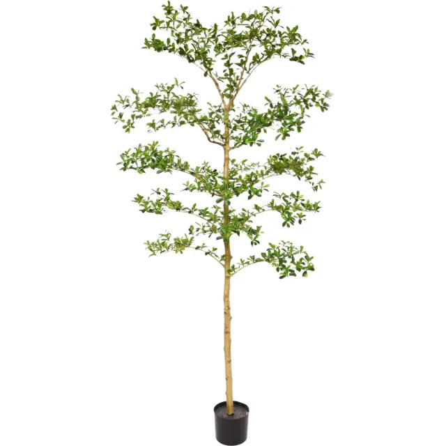 maxifleur Kunstplanten Bucida Buceras Kunstboom 210cm NT groen