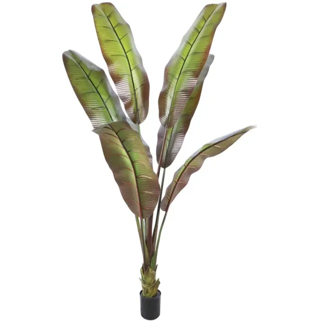 Damn Fashion Kunstplant Japanse bananenboom 190cm Multi