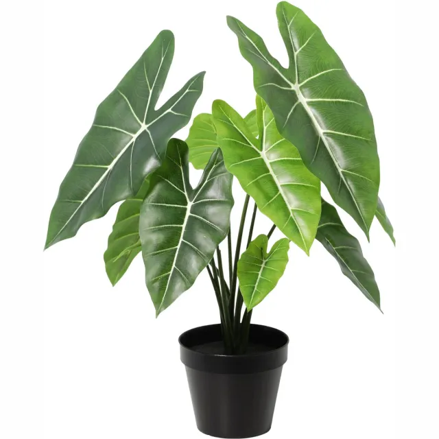 Florafy Kunstplant Alocasia 42cm - Kunstplanten voor binnen - Onderhoudsvrij Groen