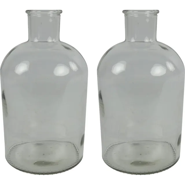 Countryfield bloemen/takken Vaas - 2x stuks - helder glas - fles - D17 x H31 cm Transparant