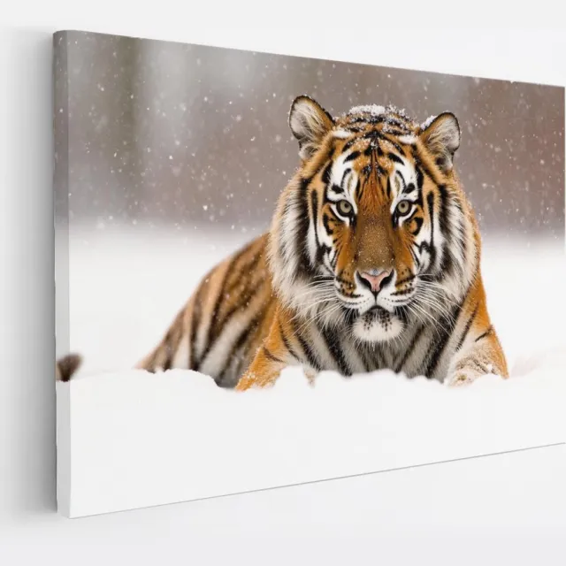 Saammp Canvas Schilderij - Jonge Tijger in de sneeuw - Natuur - Dieren - 70x50 - Foto op canvas - Wanddecoratie - muurdecoratie Woonkamer - Slaapkamer decoratie - Canvas Print Multicolor