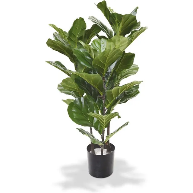 maxifleur Kunstplanten Lyrata kunstplant 95cm Groen