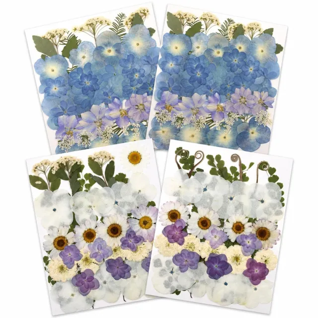 Famanu Geperste droogbloemen set van 140 stuks met pincet voor knutselen