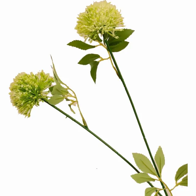 Globalgiftshop Steelbloem Bloem Lente Ui Bol - 60 cm - zacht groen Zachtgroen