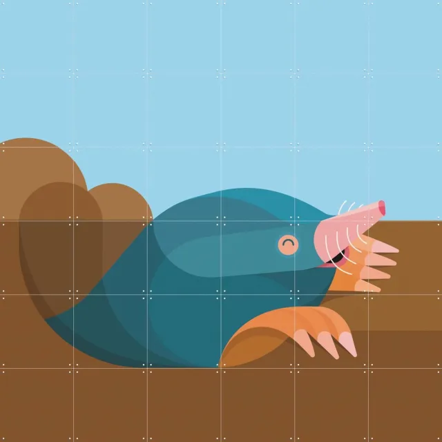 IXXI Mol, Elke Uijtewaal - 120 x 120 cm - Grote wanddecoratie en posters - Illustraties, Grafisch Ontwerp, Speels, Cartoonesk, Kleurrijk, Woonkamer Bruin / Blauw