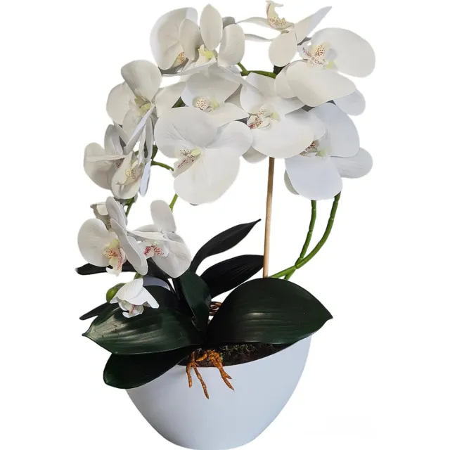 Damich Kunst Orchidee in Bloempot - Voor binnen - Hoogte 50 cm - Wit