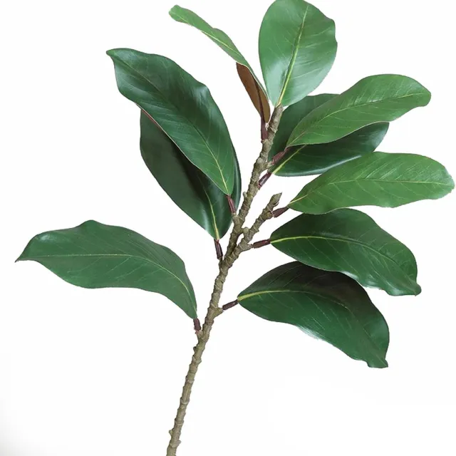 Globalgiftshop Steelbloem / kunstbloem magnolia blad 50 cm herfst -groen Herfst - Groen