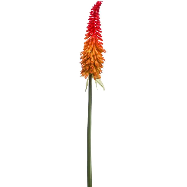 Emerald Kunstbloem Kniphofia 85cm rood/oranje - Kunstplant voor binnen