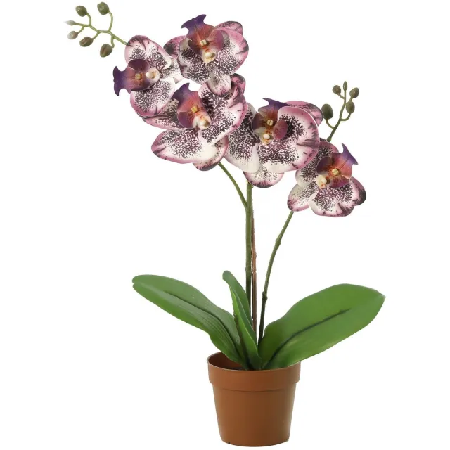 Florafy Kunstplant Orchidee Phalaenopsis Paars 41cm - Kunstplanten voor binnen - Onderhoudsvrij Groen
