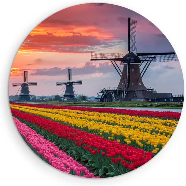 Saammp Muurcirkel Hout - Kleurrijk Tulpenveld Met Molens - Natuur - Landschap - Ø 30 - Wandcirkel - Wanddecoratie Cirkel - Muurdecoratie Woonkamer - Slaapkamer decoratie - Rond Schilderij