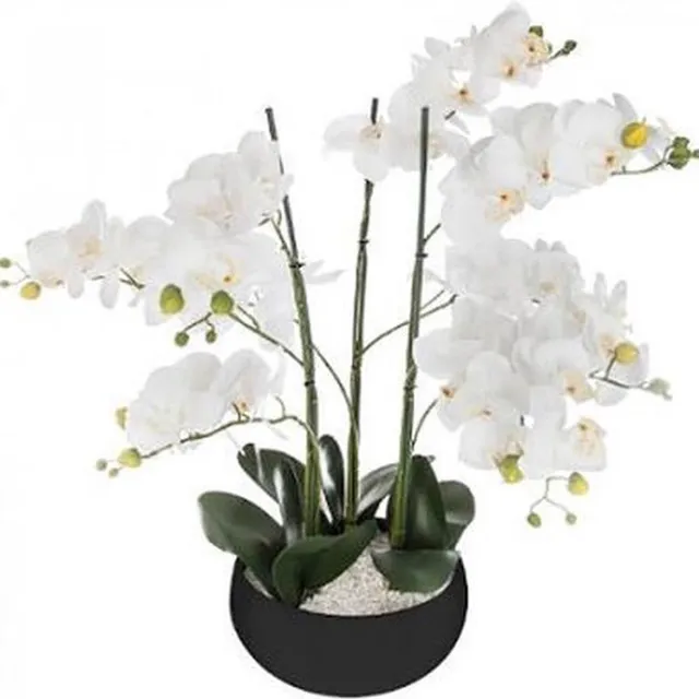Atmosphera Créateur d'intérieur® ORCHIDEE plant - PRACHTIGE Orcidee bloem - WIT - ZWARTE KERAMISCHE POT - HOOGTE 65 CM - XL Model Noir
