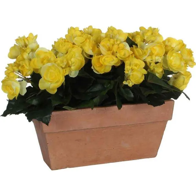 Mica Decorations begonia geel in balkonbak slate terra - 29x13x25