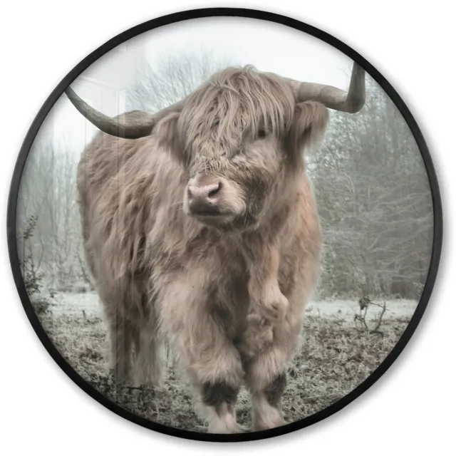 FrameYourWall Poster in lijst Rond - Fotolijst 80x80 cm - Posters - Schotse hooglander - Natuur - Herfst - Dieren - Wild - Bos - Ronde posterlijst zwart - Decoratie - Wanddecoratie woonkamer - Muurdecoratie slaapkamer