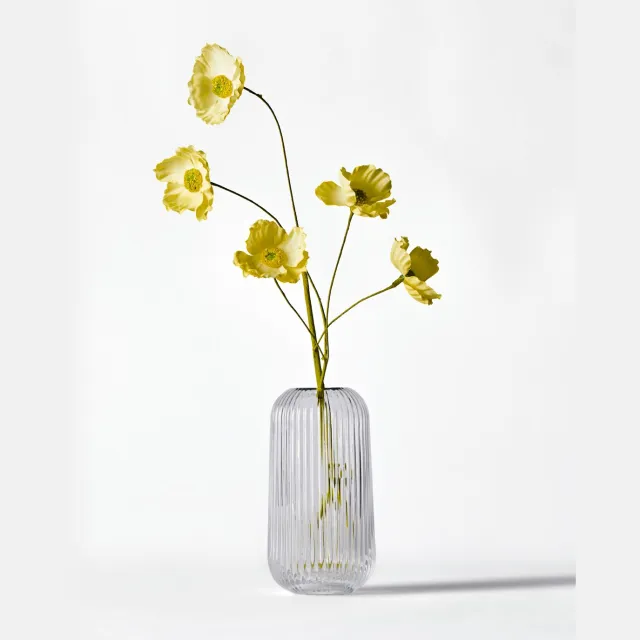 HEMA Vaas ⌀16.5x20.5cm Bink glas ribbel transparant (transparant)