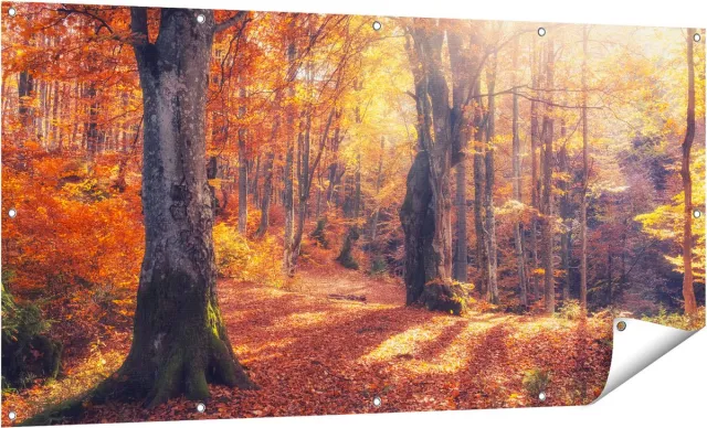Gards Tuinposter Oranje Herfstbos met Zonneschijn - 160x80 cm - Tuindoek - Tuindecoratie - Wanddecoratie buiten - Tuinschilderij Multikleur