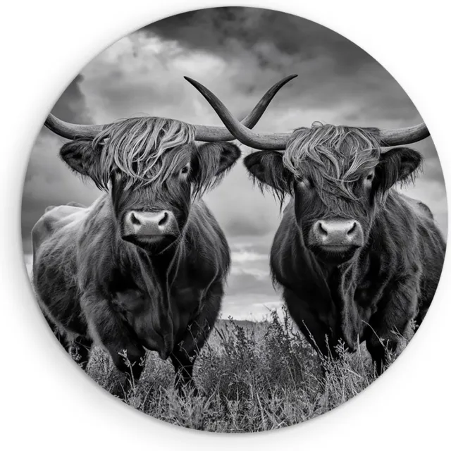 Saammp Muurcirkel Hout - 2 Schotse Hooglander Koeien in een storm - Natuur - Dieren - Ø 30 - Wandcirkel - Wanddecoratie Cirkel - Muurdecoratie Woonkamer - Slaapkamer decoratie - Rond Schilderij