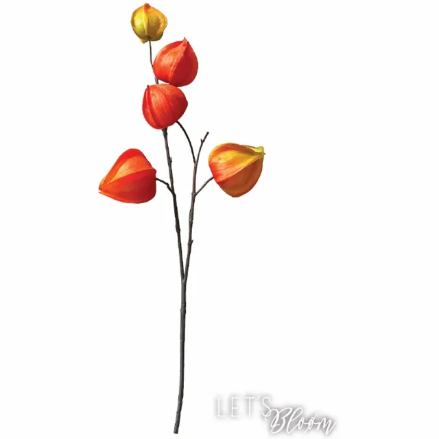 Let's Bloøm Kunsttak Physalis - oranje | 3 stuks | kunsttakken | Zijden bloemen |Kunstbloemen | Herfst| Zijde lampion bloem - kort