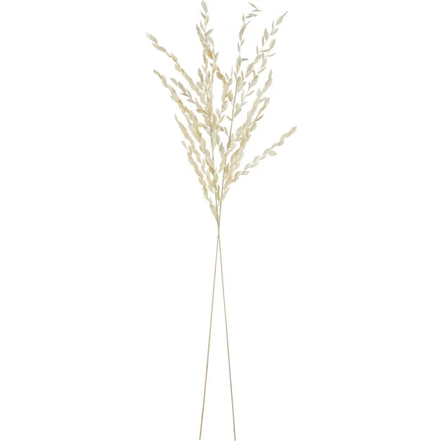 J-Line gedroogde Bladeren - jute - naturel - large
