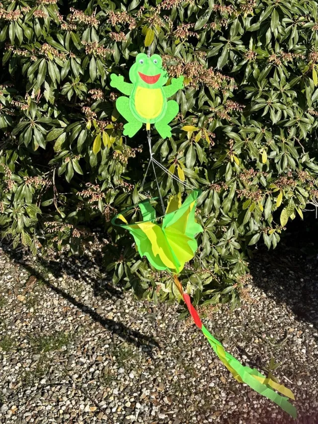 Impuls Windmolen met "kikker" - groen en meerkleurig - nylon + kunststof - dia 23 cm x hoogte 120 cm - Tuinaccessoires - Windmolens Groen, geel en rood - Kikker