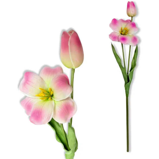 Inspiruj Tulipan - Roze - Cieniowany - Piankbloem Cieniowany Roze