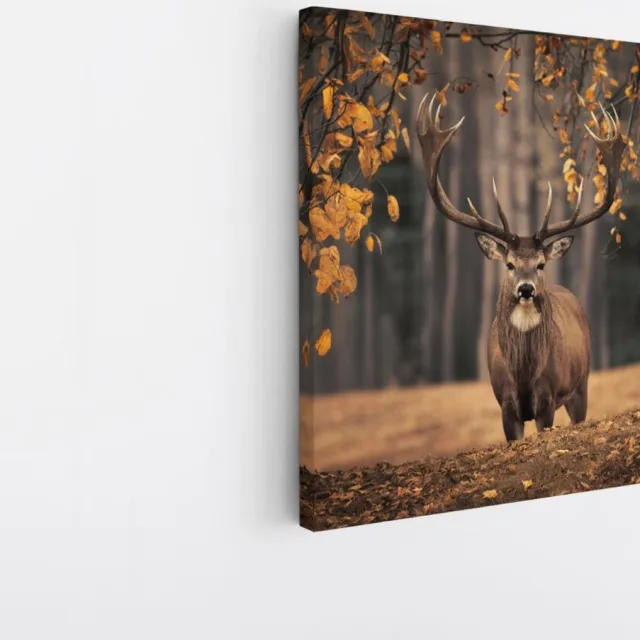 Saammp Canvas Schilderij - Hert in de wei tijdens de herfst tijden - Natuur - Dieren - 20x20 - Foto op canvas - Wanddecoratie - Muurdecoratie Woonkamer - Slaapkamer decoratie - Canvas Print Multicolor