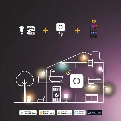 Philips Hue Ledspot Gu10 4,3w Set Van 2 Wit