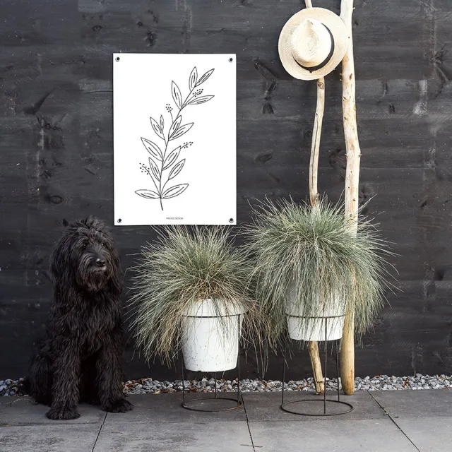 MOODZ design Tuinposter | Buitenposter | Illustratie natuur 2 | 50 x 70 cm | Wit
