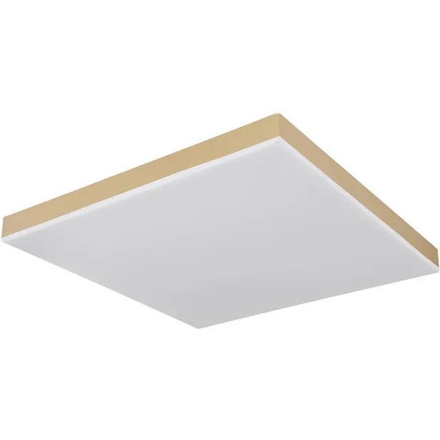 Globo Plafondlamp woonkamerlamp eetkamerlamp plafondlamp hallamp, op afstand dimbaar CCT nachtlamp/memory, 1x LED 24W 1600Lm 2700-6500K, L 45 cm messing
