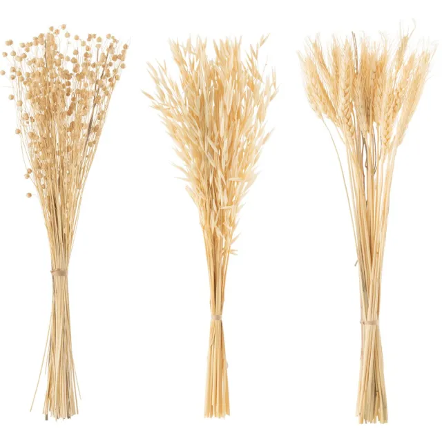 J-Line droogbloemen - Bundel gedroogde bloemen - naturel - 3 stuks
