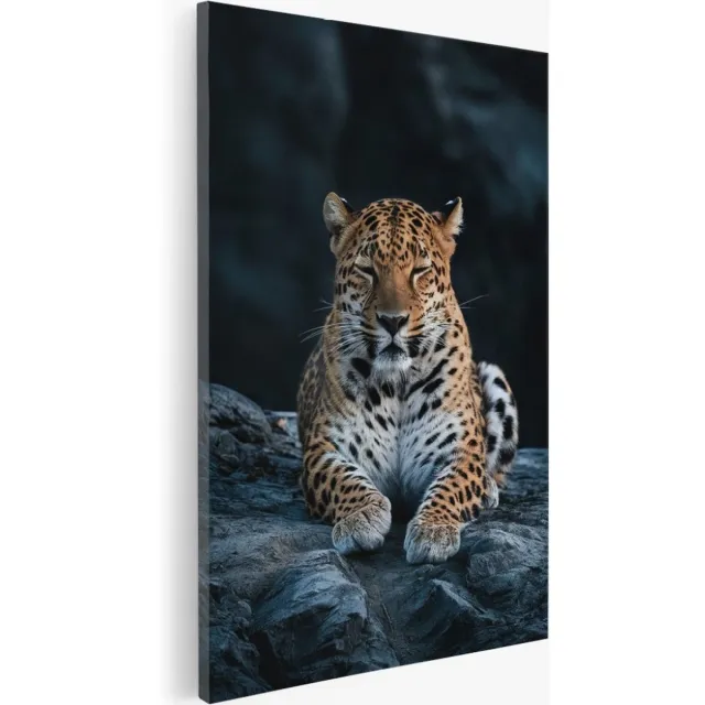 Saammp Canvas Schilderij - Slapende Jaguar - Natuur - Dieren - 80x120 - Foto op canvas - Wanddecoratie - Muurdecoratie Woonkamer - Slaapkamer decoratie - Canvas Print Multicolor