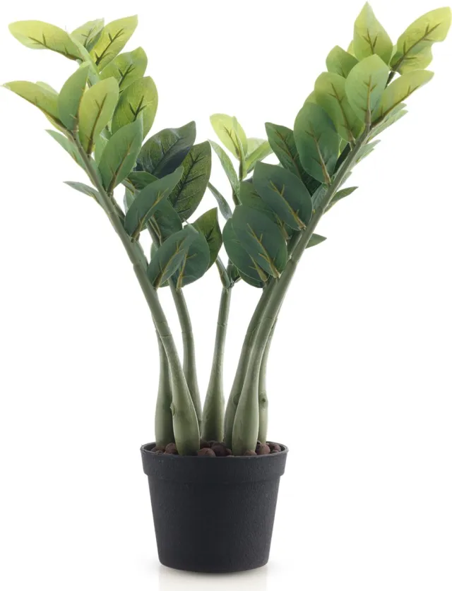 Meisterhome Kunst Zamioculcas 50 cm – Kunstplant - Onderhoudsvrije Kamerplant – Inclusief Pot – Realistisch & Vol Model – Groen