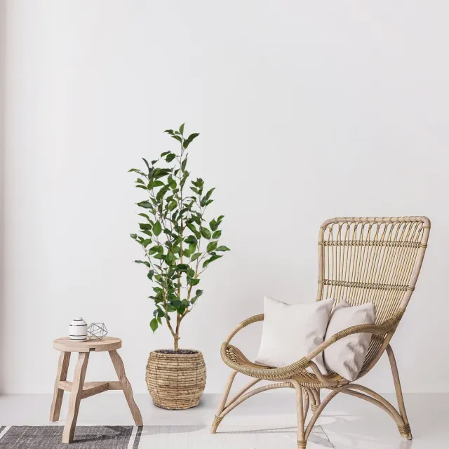 maxifleur Kunstplanten Ficus Exotica Kunstplant NT 100cm Groen