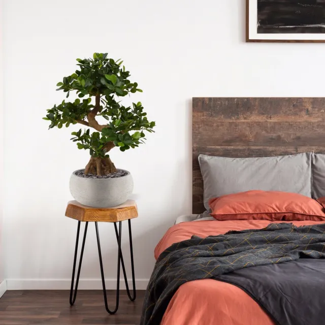 Maxifleur Panda Bonsai kunstboom op voet 70cm groen