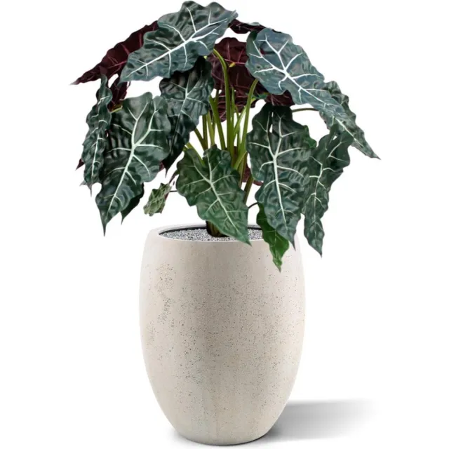 maxifleur Kunstplanten Alocasia kunstplant 75cm groen