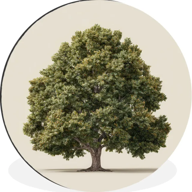 WallCircle Wandcirkel - Muurcirkel - Eikenboom - Groen - Lichte achtergrond - Aluminium - Dibond - 60x60 cm - Binnen en Buiten