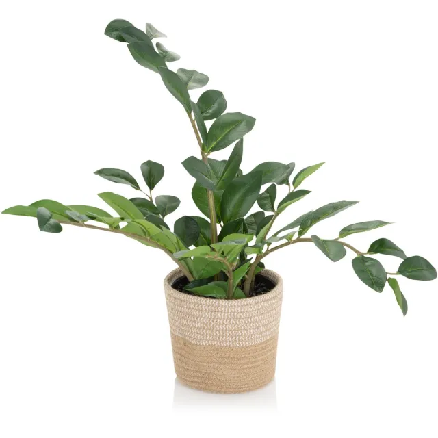 hjh office Kunstplant / kunstboom GLÜCKSFEDER Zamioculcas groen hjh OFFICE