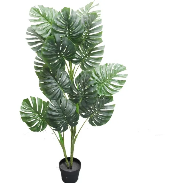 Noach Monstera - 120 cm Groen